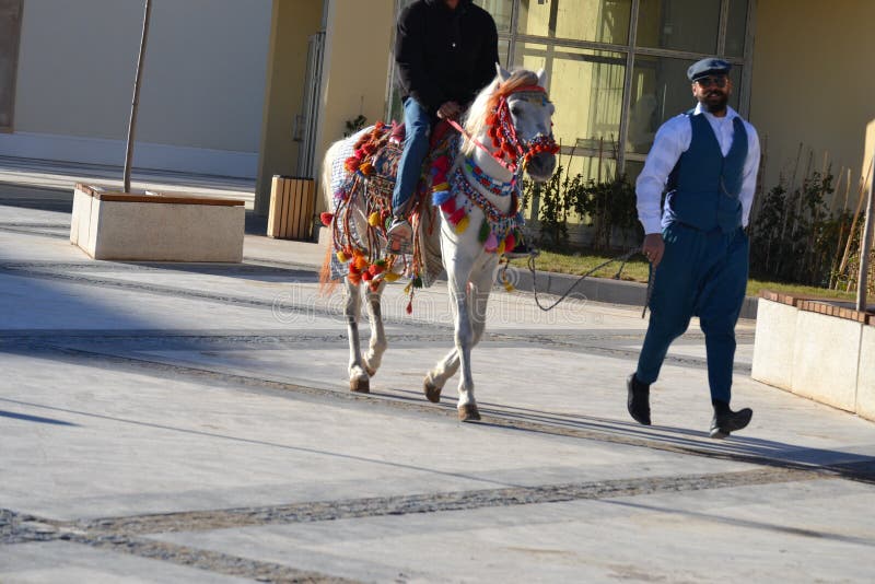 Touristenattraktion in mardin pferde Tradiell geschmuckt am 25122021 um 14 14 uhr