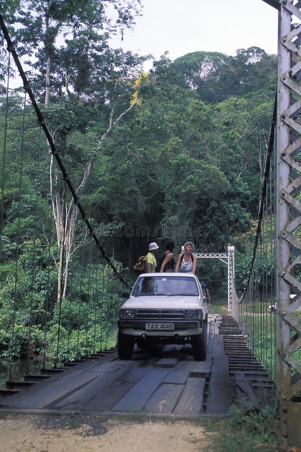 Touristes croisant le pont suspendu dans la forêt tropicale photographie stock libre de droits Touristes croisant le pont suspendu dans la forêt tropicale photographie stock libre de droits