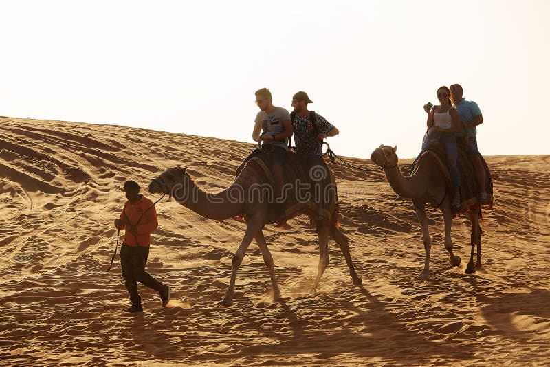 800 Dubai Desert Camel Ride Stock Photos - Free & Royalty-Free Stock Photos  from Dreamstime