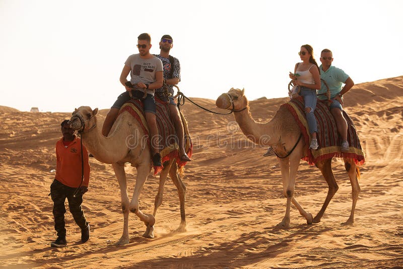 800 Dubai Desert Camel Ride Stock Photos - Free & Royalty-Free Stock Photos from Dreamstime 800 Dubai Desert Camel Ride Stock Photos - Free & Royalty-Free Stock Photos from Dreamstime