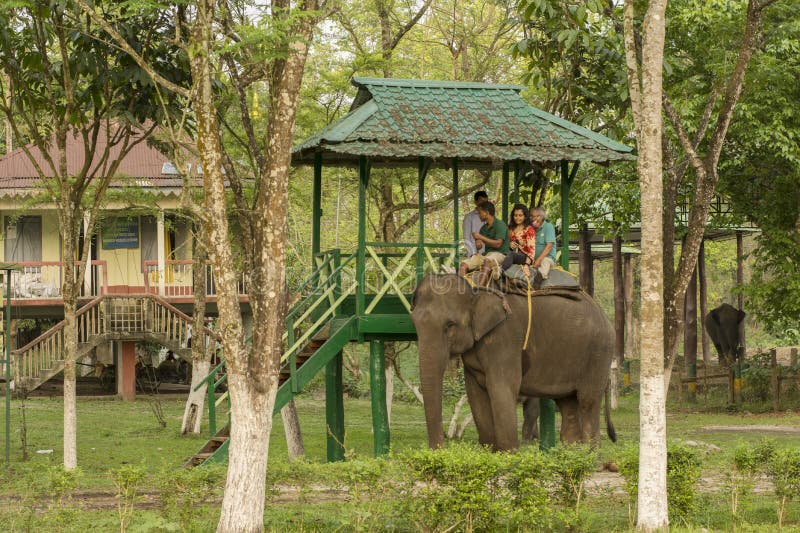 dhupjhora elephant safari booking