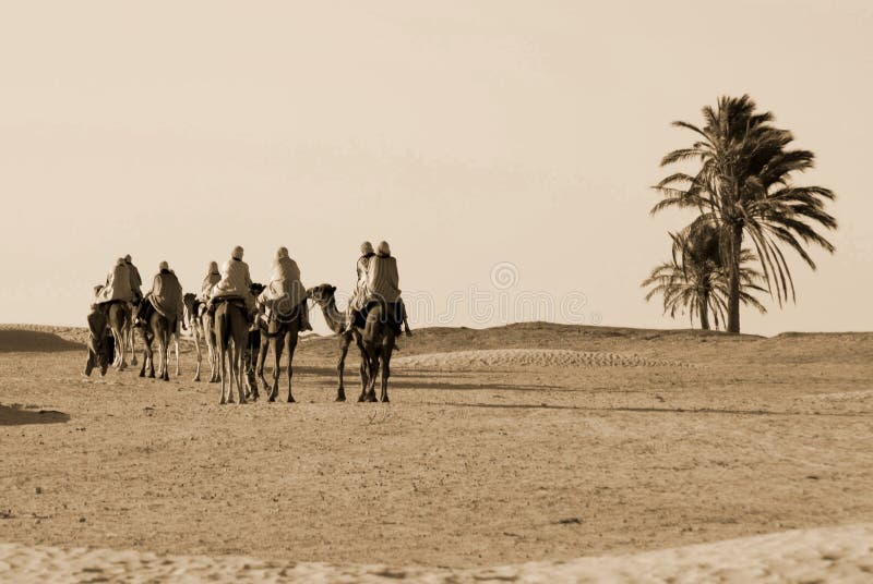 DOUZ SAHARA DESERT - OCTOBER 12: Tourists ride on camels guided by local people on horses, in the famous Saraha desert  on October 12, 2007 in Douz Tunisia