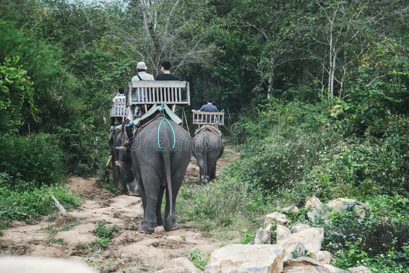Tourists riding elephants in wild forest, on river and at Elephant Park. People sitting on elephant's backs stock images