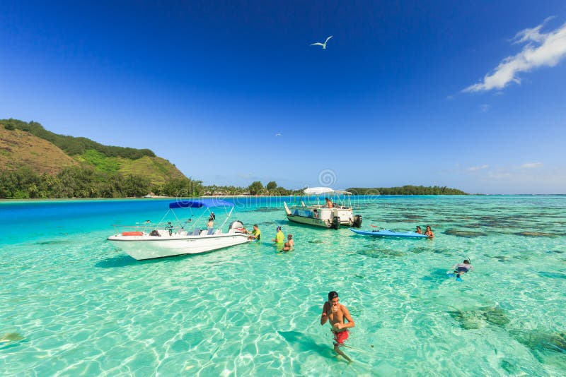 PAPEETE, FRENCH POLYNESIA â€“ MARCH 14, 2018 : The Tourists swimming and feeding sharks and Stingrays in beautiful sea at Moorae Island, Tahiti PAPEETE, FRENCH POLYNESIA
