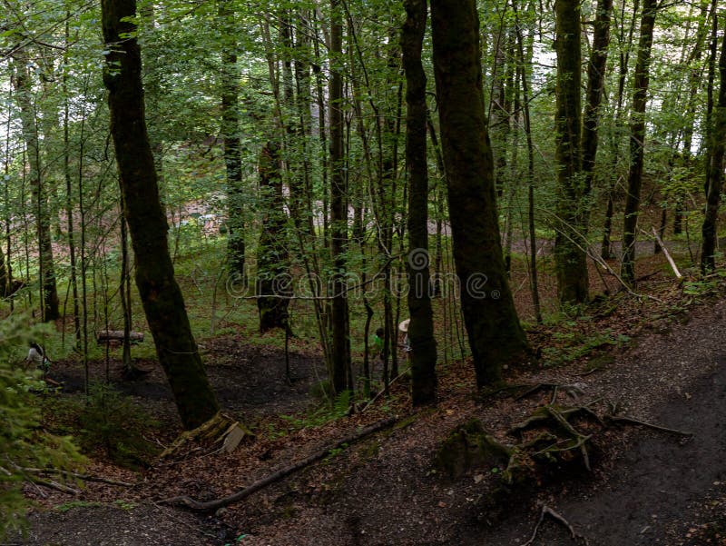 Cestičky v horách vedú po strmých svahoch porastených lesmi.