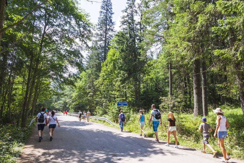 Tourists walking on road to Morskie Oko lake in High Tatra Mount