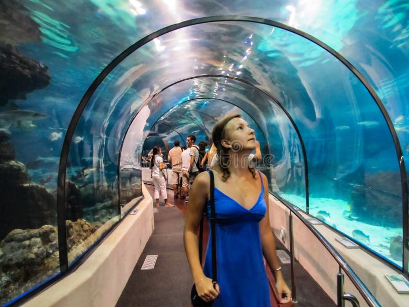 Tourists watch interesting fish in a huge Oceanarium. BARCELONA, SPAIN - September 16, 2011 royalty free stock photography Tourists watch interesting fish in a huge Oceanarium. BARCELONA, SPAIN - September 16, 2011 royalty free stock photography