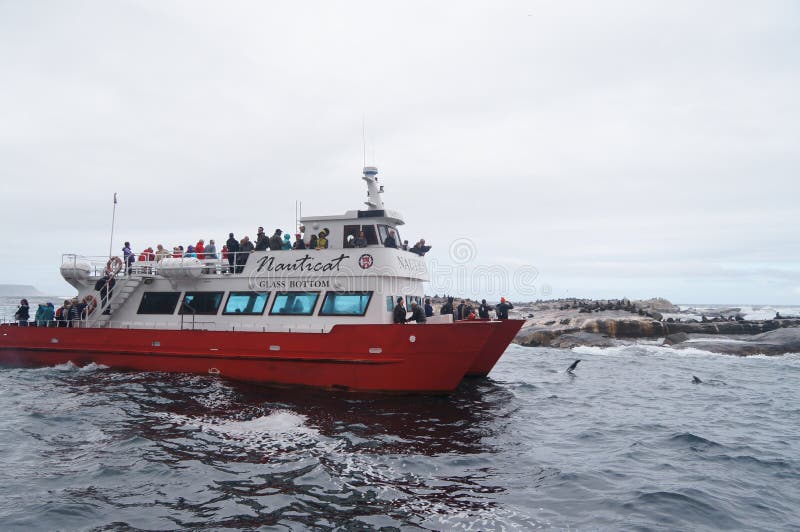 Tourists watching seal at Duiker Island near Cape Town,South Afr