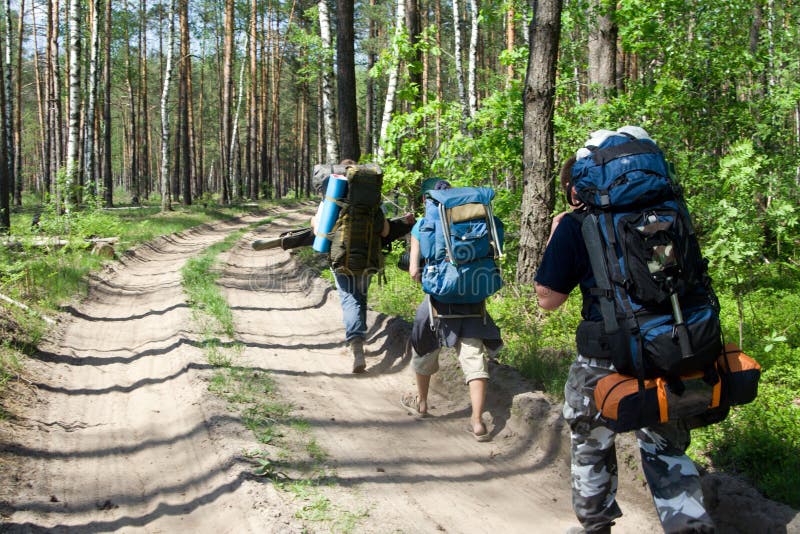 Tourists at wood