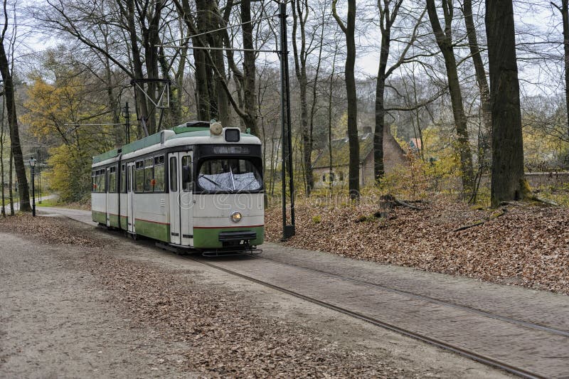 Tours de tram par le parc photo stock Tours de tram par le parc photo stock