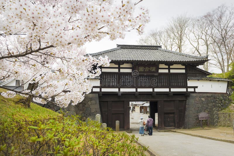 Toursits enter the Komoro castle ruins park gate in Spring Sakura cherry blossom season