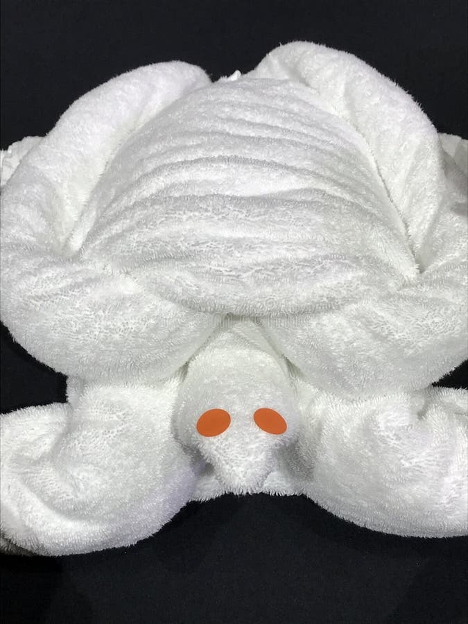 Towel Folding Animals stock image Image of cruise cute 139236549