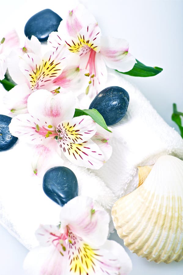 Towels, Flowers and Shells