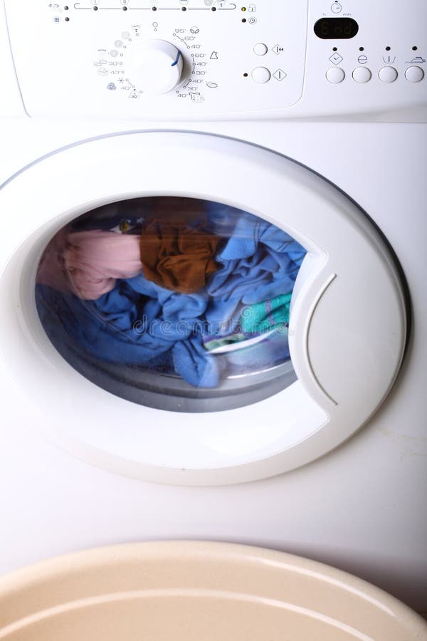 Washing Machine and Dog Inside Stock Photo Image of groomed, canine