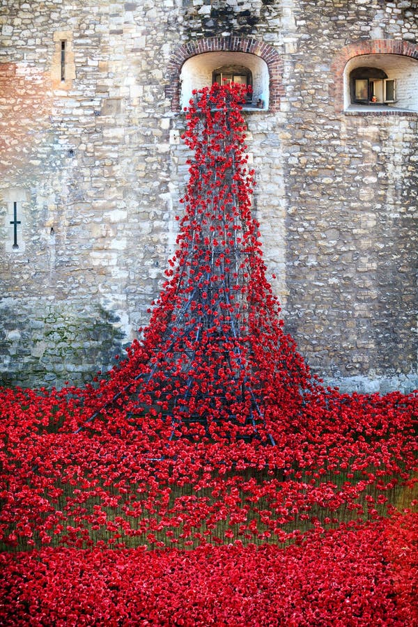 Tower of London Ceramic Poppy Display