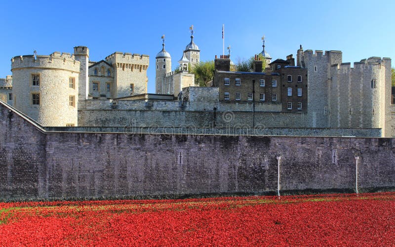 Tower of London Towering over Rememberance Poppies stock images