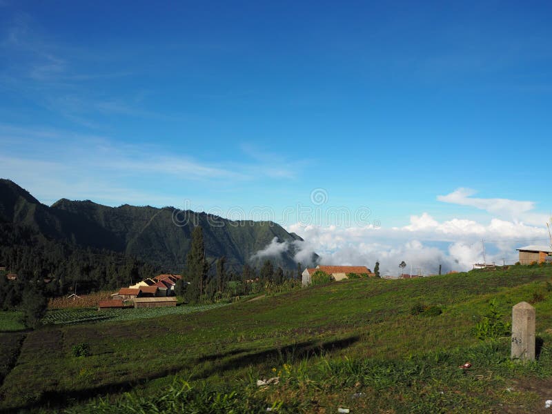 Bromo Rednecks