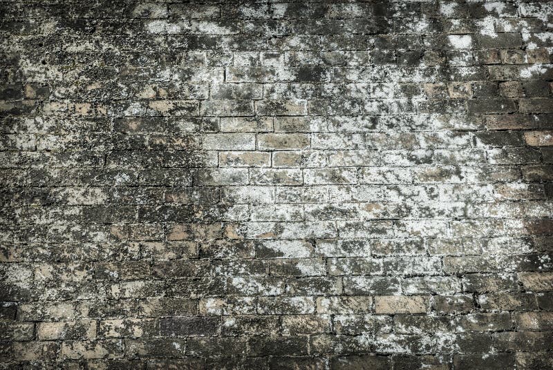 Toxic Wall stock photo. Image of pollution, texture, brick 36044688