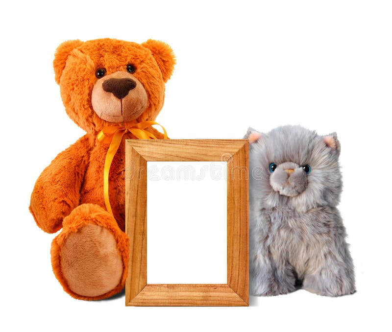 Toy bear and kitten with photo frame