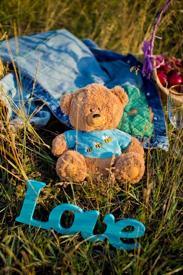 Toy Bear, Wedding Ring and Sign Love on the Grass Stock Image - Image