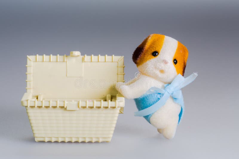 Toy box and doggie stock photo. Image of gift, doggie 31974544
