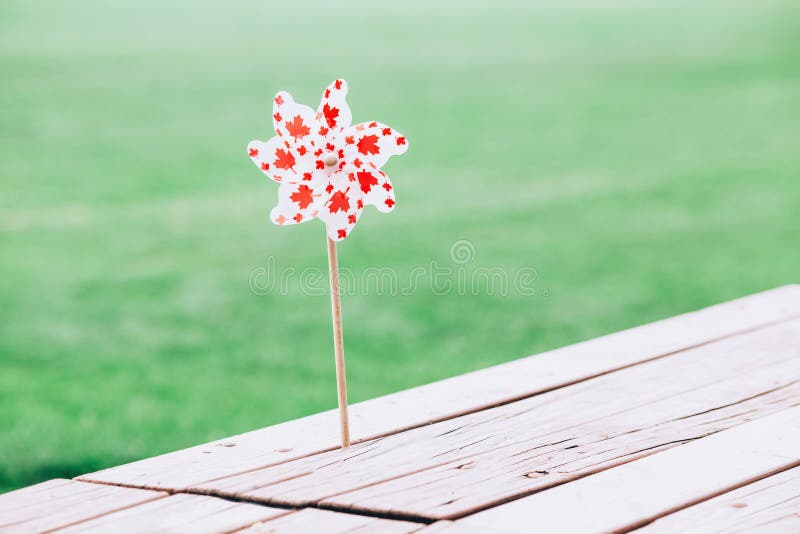 Toy with Canadian flag symbol during Canada Day national celebration on July royalty free stock image Toy with Canadian flag symbol during Canada Day national celebration on July royalty free stock image