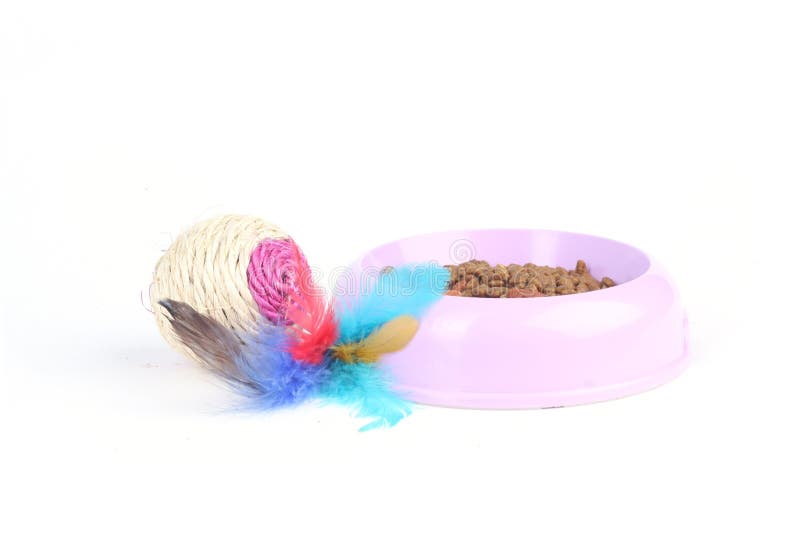 Toy with Dry Cat Food in a Bowl Stock Photo Image of bowl, decoy