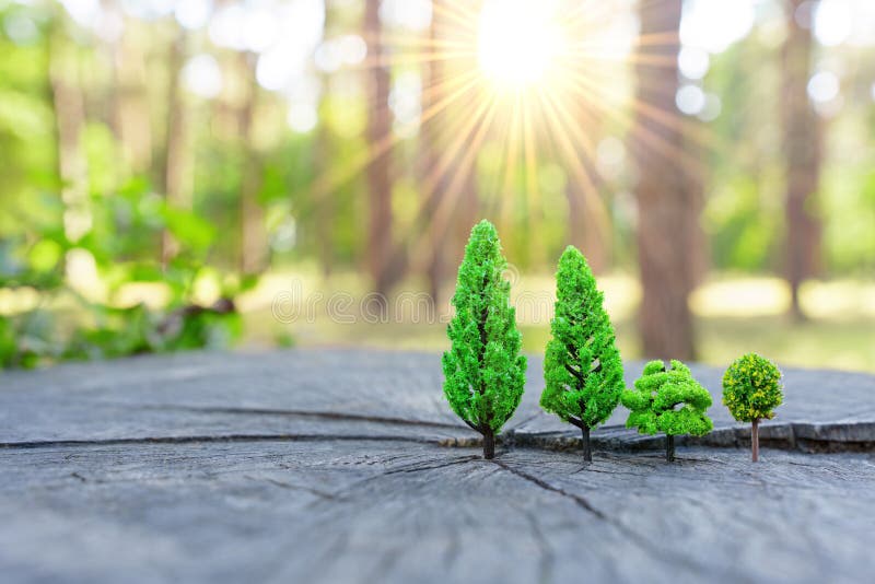 Sun shining behind a toy forest placed on a stump royalty free stock photography