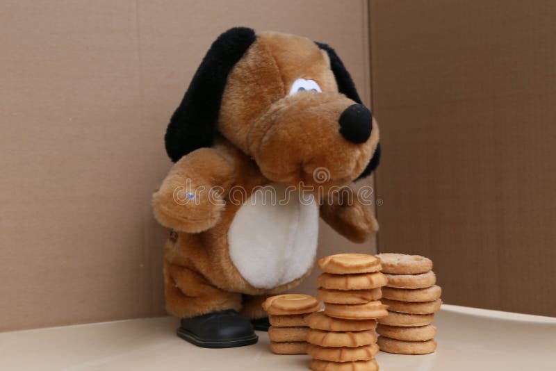 Toy Plush Dog and Small Cookies in Front of it are Stacked Stock Image