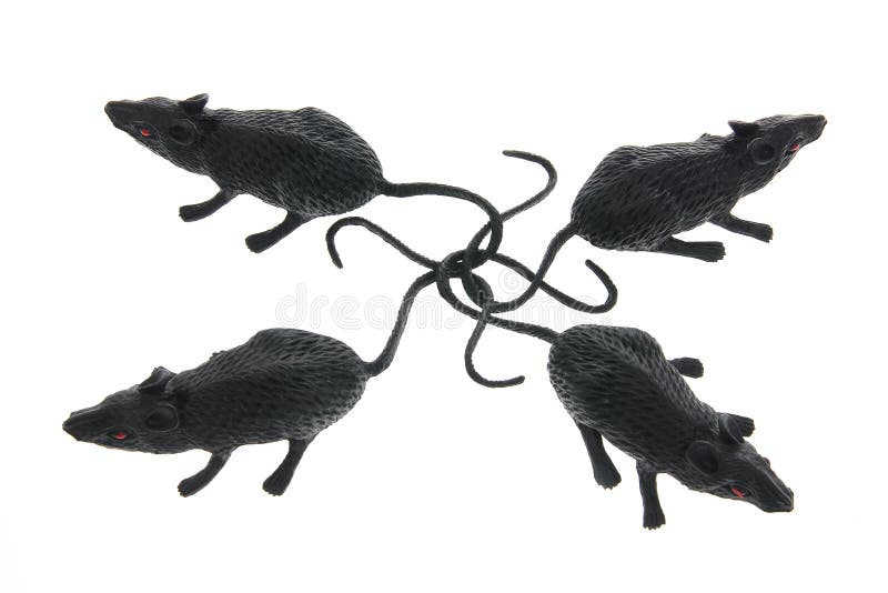 Toy Rats stock photo. Image of plastic, pest, mice, defence 18616566