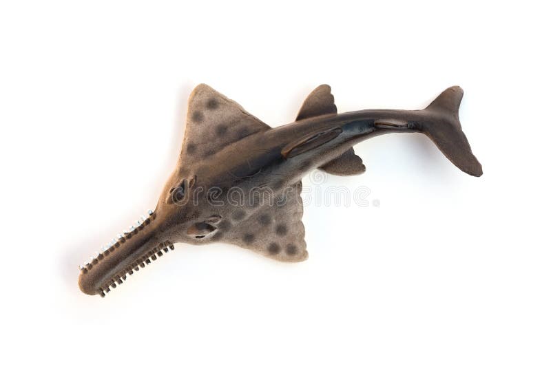 saw shark toy