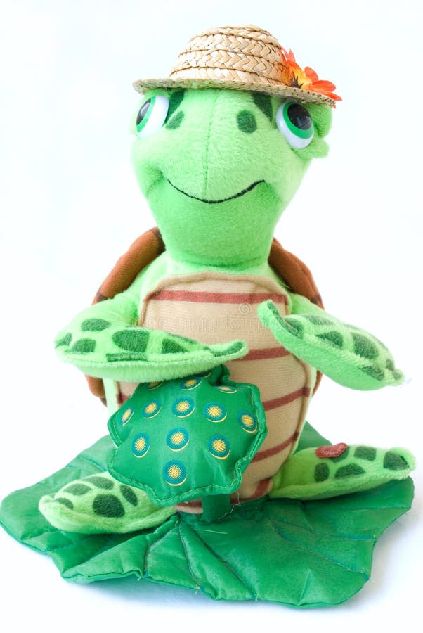 Toy turtle