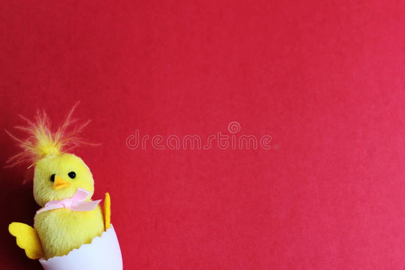 A toy yellow chicken hatched from a white egg. happy Easter. Space for text royalty free stock photography