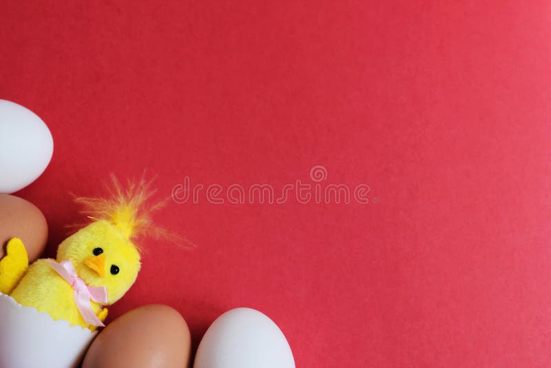 A toy yellow chicken hatched from a white egg next to brown eggs. happy Easter. Space for text royalty free stock photography