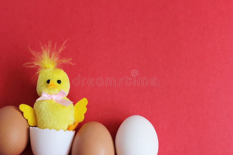 A toy yellow chicken hatched from a white egg next to brown eggs. happy Easter. Space for text royalty free stock images