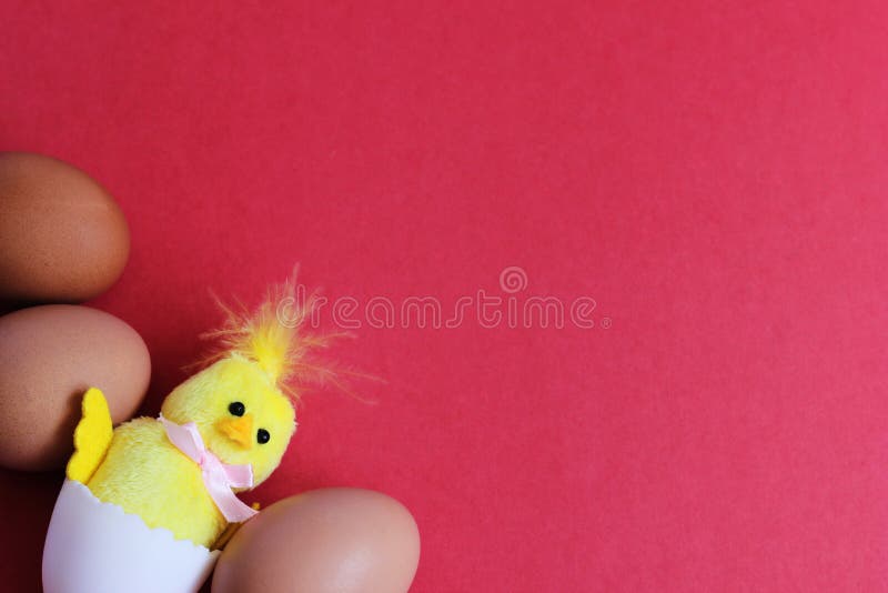 A toy yellow chicken hatched from a white egg next to brown eggs. happy Easter. Space for text royalty free stock photos
