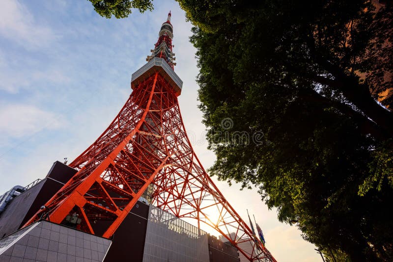 Toyko Tower during sunset by ant eye view, Japan. Perspective ant stock images, royalty-free photos and pictures