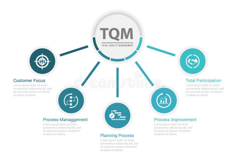 TQM Total quality management diagram chat and icon topic vector design