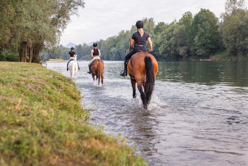 Garota Equestre Pulando Obstáculo Com Cavalo Cinza-maçã Imagem de