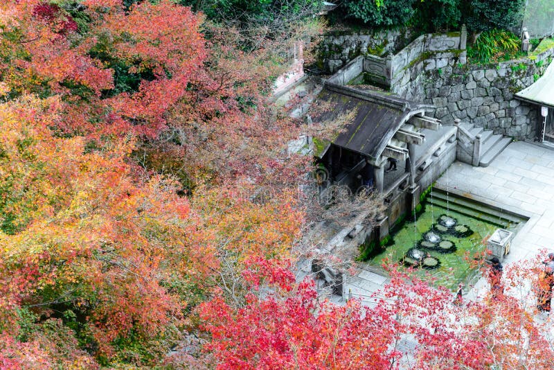 tr?dg?rden f?r l?nn f?r h?rlig Momiji h?st den f?rgrika p? den Kiyomizu-Dera templet med Kyoto stadsbakgrund, Japan arkivbild tr?dg?rden f?r l?nn f?r h?rlig Momiji h?st den f?rgrika p? den Kiyomizu-Dera templet med Kyoto stadsbakgrund, Japan arkivbild