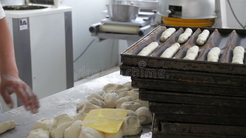 Trabajador de la panadería que hace los rollos suaves en cocina industrial