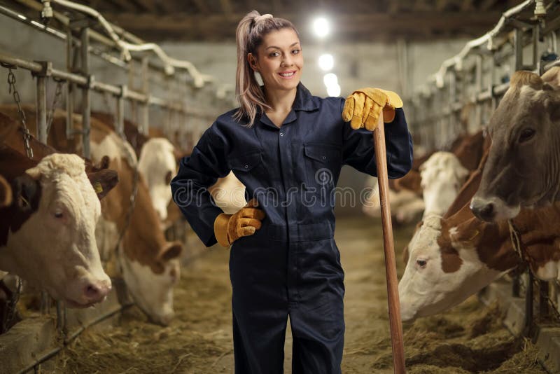 Trabajadora en una granja lechera de vacas imagen de archivo Trabajadora en una granja lechera de vacas imagen de archivo