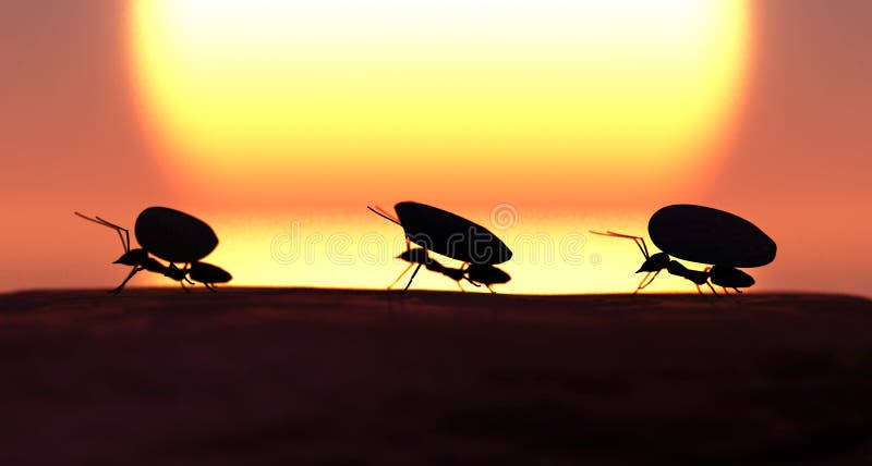 Trabalho de conceito, equipa de formigas ilustração do vetor