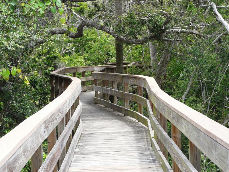 Trail on Florida`s Canaveral National Seashore leads to Turtle Mound, a large Native American Indian shell midden named for its similarity to a turtle. Trail on Florida`s Canaveral National Seashore leads to Turtle Mound, a large Native American Indian shell midden named for its similarity to a turtle