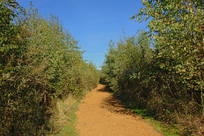 Traccia di escursione attraverso una foresta nella riserva naturale di Gentbrugse Meersen fotografia stock libera da diritti Traccia di escursione attraverso una foresta nella riserva naturale di Gentbrugse Meersen fotografia stock libera da diritti