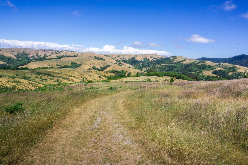 Traccia di escursione sulle colline di San Francisco Bay del nord, California fotografie stock Traccia di escursione sulle colline di San Francisco Bay del nord, California fotografie stock