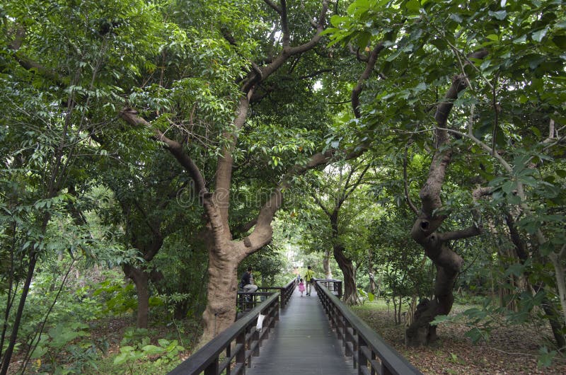 Traccia Taipei Taiwan del sentiero costiero del giardino botanico immagini stock Traccia Taipei Taiwan del sentiero costiero del giardino botanico immagini stock