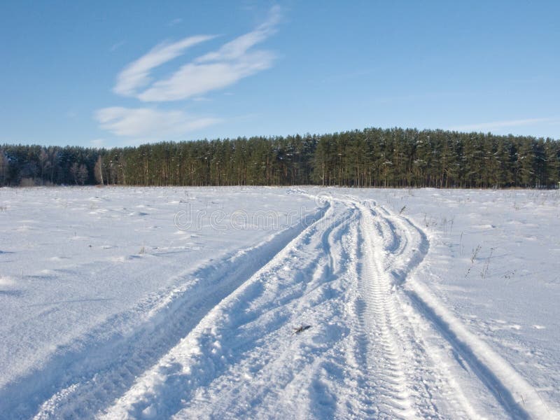 Track in snowy field on forest background