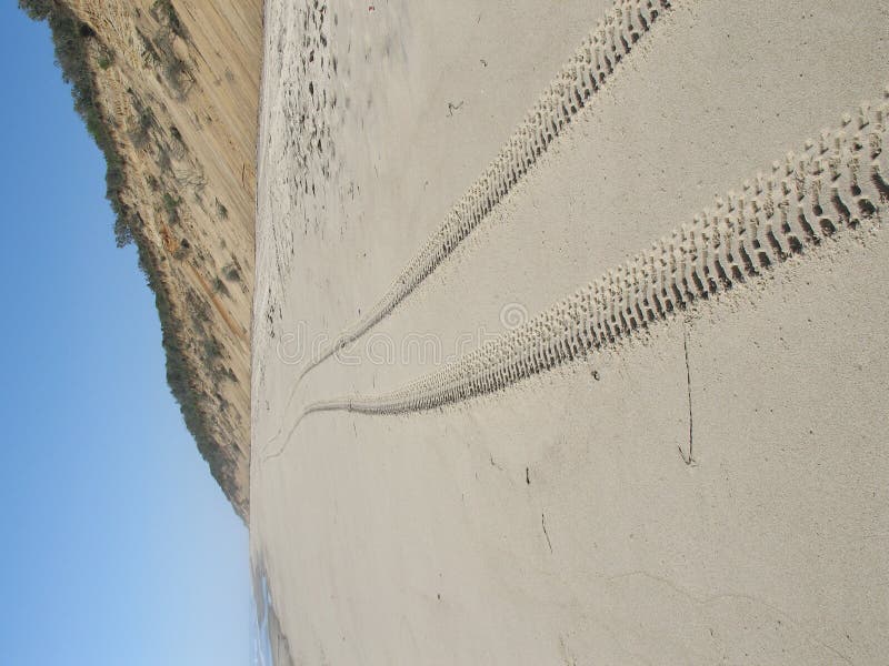 Tracks in the Sand