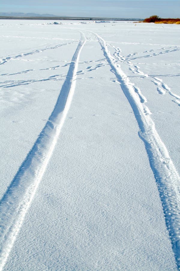 Tracks in snow